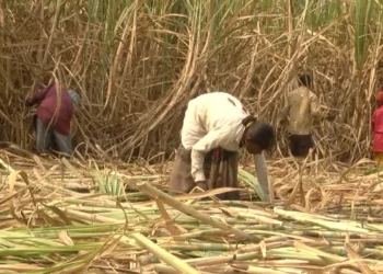 ರೈತರ ಬಿಲ್ ಬಾಕಿ; ಹೋರಾಟದ ಎಚ್ಚರಿಕೆ