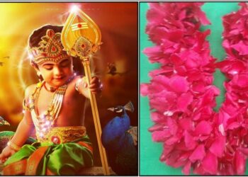 27 ನೇ ವಾರದಲ್ಲೇ ನೀವು ಕಳೆದುಹೋದ ಆಸ್ತಿ, ಸಂಪತ್ತು ಮತ್ತು ಮಾನಸಿಕ ಧೈರ್ಯವನ್ನು ಮರಳಿ ಪಡೆಯಬಹುದು