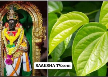 ಮುಂದಿನ ಬಾರಿ ನೀವು ತಿರುಚೆಂದೂರ್ ಮುರುಗನ್ ದೇವಸ್ಥಾನಕ್ಕೆ ಭೇಟಿ ನೀಡಿದರೆ, ಈ 1 ಕೆಲಸವನ್ನು ಮಾಡಿ. ಕಷ್ಟವು ಸಮುದ್ರದ ಅಲೆಗಳೊಂದಿಗೆ ಕೊಚ್ಚಿಕೊಂಡು ಹೋಗುತ್ತದೆ.