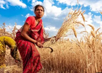 ಇಂದು ರೈತರ ಖಾತೆ ಸೇರಲಿದೆ ಕಿಸಾನ್ ಸಮ್ಮಾನ್ ನಿಧಿಯ ಕಂತು