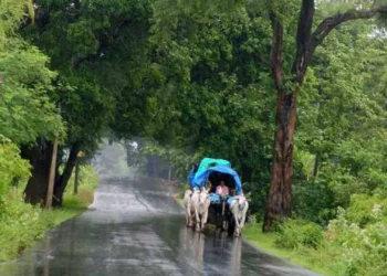 ರಾಜ್ಯದ ಹಲವೆಡೆ ಇಂದು ಭಾರೀ ಮಳೆಯಾಗುವ ಮುನ್ಸೂಚನೆ