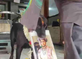 ಬಿಜೆಪಿರ ಪರ ಭವಿಷ್ಯ ನುಡಿದ ಶ್ವಾನ