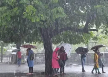 ರಾಜ್ಯದ 8 ಜಿಲ್ಲೆಗಳಲ್ಲಿ ಇಂದು ಭಾರೀ ಮಳೆಯಾಗುವ ನಿರೀಕ್ಷೆ