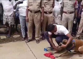 ಅಪ್ರಾಪ್ತೆಯ ಮೇಲೆ ಅತ್ಯಾಚಾರ ನಡೆಸಿದ ಹಿರಿಯ ವಿದ್ಯಾರ್ಥಿಗಳು