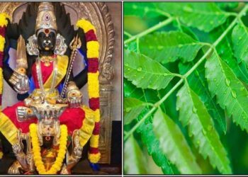 ಇದನ್ನು ತಂದು ಮನೆಯಲ್ಲಿಟ್ಟರೆ ದೇವತೆ ಮನೆಗೆ ಭೇಟಿ ನೀಡಿ ನಮ್ಮ ಎಲ್ಲಾ ಕಷ್ಟಗಳನ್ನು ದೂರಮಾಡಿ ಒಳ್ಳೆಯದನ್ನು ಮಾಡುತ್ತಾನೆ
