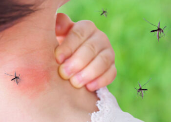 ರಾಜ್ಯದಲ್ಲಿ ಒಂದೇ ದಿನ 197 ಡೆಂಗ್ಯೂ ಪ್ರಕರಣಗಳು