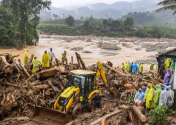 ವಯಾನಡು ಗುಡ್ಡ ಕುಸಿತ ಪ್ರಕರಣ; ಕರ್ನಾಟಕ ಮೂಲದವರು ಬಲಿ