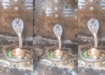 ಶ್ರೀಶೈಲಂನಲ್ಲಿ ನಡೆದ ಪವಾಡ!!