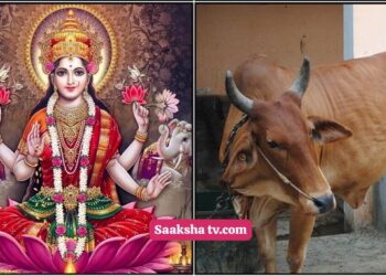 ಹಸುವಿಗೆ ಈ ವಸ್ತುವನ್ನು ದಾನ ಮಾಡುವುದರಿಂದ ಮನೆಯಲ್ಲಿನ ಎಲ್ಲಾ ನಕಾರಾತ್ಮಕ ಶಕ್ತಿಗಳು ದೂರವಾಗುತ್ತವೆ ಮತ್ತು ಸಕಲ ಸಂಪತ್ತು ಹೆಚ್ಚಾಗುತ್ತದೆ.