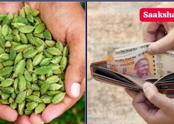 ಮನಿ ಪರ್ಸ್ ಒಂದು ವಸ್ತುವಾಗಿದ್ದು, ಅದನ್ನು ಹಣದಿಂದ ತುಂಬಿಸಲು ಕುಟುಂಬದ ಮುಖ್ಯಸ್ಥರು ಖರೀದಿಸಬೇಕು ಹಣದಿಂದ ಇಡಬೇಕು