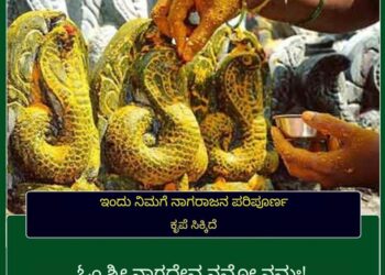 ನಿಮಗೆ ನಾಗರಾಜನ ಆಶೀರ್ವಾದ ಲಭಿಸಿ, ಬೇಕಾದ್ದು ಸಿಗಬೇಕಾದರೆ ಈ ಮಂತ್ರ ಹೇಳಿ