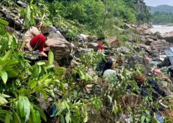 ಭಾರತೀಯರಿದ್ದ ಬಸ್ ಪಲ್ಟಿ; 14 ಜನ ಬಲಿ