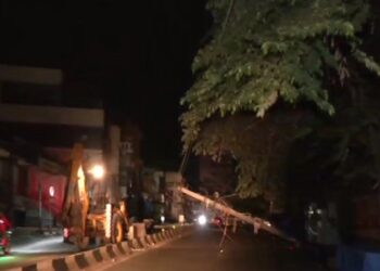 ಚಾಲಕನ ನಿರ್ಲಕ್ಷ್ಯಕ್ಕೆ ಧರೆಗೆ ಉರುಳಿದ ಕಂಬಗಳು