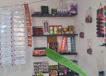 ಗೃಹಲಕ್ಷ್ಮೀ ಹಣದಿಂದ ಸೊಸೆಗೆ ಅಂಗಡಿ ಹಾಕಿಕೊಟ್ಟ ಅತ್ತೆ