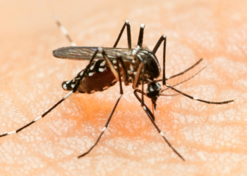 ಸಿಲಿಕಾನ್ ಸಿಟಿಯಲ್ಲಿ ಝಿಕಾ ವೈರಸ್ ಆತಂಕ!