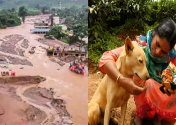 ವಯನಾಡು ದುರಂತ; ತನ್ನ ಮಾಲೀಕರಿಗಾಗಿ ಹುಡುಕಾಟ ನಡೆಸಿದ್ದ ನಾಯಿ! ಮುಂದೇನಾಯ್ತು?