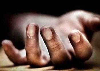 ಮೆಟಾ ಎಐದಿಂದಾಗಿ ಪ್ರಾಣ ಉಳಿಸಿಕೊಂಡ ಮಹಿಳೆ