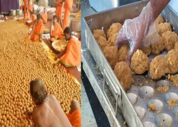 ತಿರುಪತಿ ಲಡ್ಡು ಪ್ರಸಾದದಲ್ಲಿ ಪ್ರಾಣಿಗಳ ಕೊಬ್ಬು; ಹಿಂದೂಗಳ ಭಾವನೆ ಘಾಸಿ