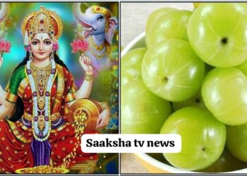 ಈ ಮಾಲೆಯನ್ನು ಕಟ್ಟಿದರೆ ನಿಮ್ಮ ಮನೆಯಲ್ಲಿನ ದೊಡ್ಡ ಹಣದ ಸಮಸ್ಯೆ ತಕ್ಷಣ ಪರಿಹಾರವಾಗುತ್ತದೆ