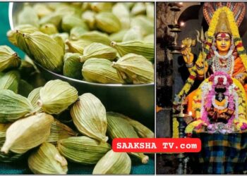 ನಿಮ್ಮ ಕತ್ತಲೆಯಾದ ಬದುಕಿಗೆ ಬೆಳಕು ನೀಡುವ ಪರಿಹಾರ ಏಳಿಗೆಯಾಗದಂತಹ ಜೀವನದಲ್ಲಿ ಜಿಗುಪ್ಸೆ ಹೊಂದಿರುವವರಿಗಾಗಿ..