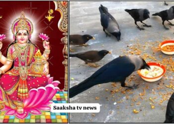 ಶುಕ್ರವಾರ ಕಾಗೆಗೆ ಆಹಾರ ನೀಡುವ ವಿಧಾನ