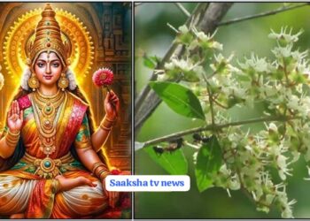 ನಿಮ್ಮ ಸಾಲವನ್ನು ಕೊನೆಗೊಳಿಸಲು ಈ ರೀತಿ ಮಾಡಿ!