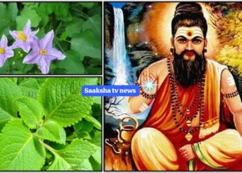 ಮನೆಯಲ್ಲಿ ಗೊತ್ತಿಲ್ಲದೆ ಈ ಮರಗಳನ್ನು ಬೆಳೆಸಬೇಡಿ, ಅಪಾಯ ಕಟ್ಟಿಟ್ಟ ಬುತ್ತಿ! ಮನೆಯಲ್ಲಿ ಈ ಗಿಡಗಳು ಇಲ್ಲದಿದ್ದರೆ ನಿಮ್ಮ ಅದೃಷ್ಟವೇ ಇಲ್ಲ.