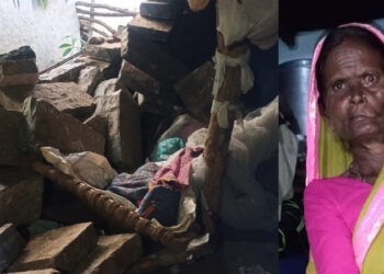 ಭಾರೀ ಮಳೆಗೆ ಶೆಡ್ ಕುಸಿದು ವೃದ್ಧೆ ಸಾವು