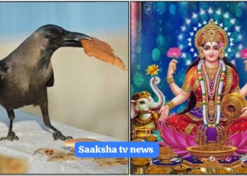 ತಿಂಗಳಿಗೊಮ್ಮೆ ಕಾಗೆಗೆ ಈ ರೀತಿ ತಿನ್ನಿಸಿದರೆ 2025ರಲ್ಲಿ ಶ್ರೀಮಂತ ಯೋಗ ಪಡೆಯಬಹುದು