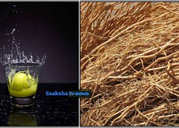 ಬೇರೆಯವರ ಕಣ್ಣುಗಳಿಂದ ಮುಂದೆ ಬರಲು ಸಾಧ್ಯವಿಲ್ಲ ಎಂದುಕೊಳ್ಳುವವರಿಗೆ ಹೀಗೆ ಮಾಡಿ, ನಿಮ್ಮನ್ನು ಸೋಲಿಸಲು ಯಾರಿಂದಲೂ ಸಾಧ್ಯವಿಲ್ಲ!