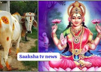 ಗೋವನ್ನು ಈ ರೀತಿ ಪೂಜೆ ಮಾಡುವುದರಿಂದ ನಿಮಗೆ ಅದೃಷ್ಟ ಒಲಿಯುತ್ತೆ