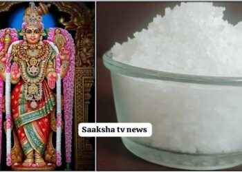 ಕೈ ತುಂಬ ಸಂಬಳದ ಕೆಲಸ ನಿಮಗೆ ಸಿಗಬೇಕೇ? ಈ ರೀತಿ ಮಾಡಿ ನೋಡಿ ಖಂಡಿತ ಸಿಗತ್ತೆ!