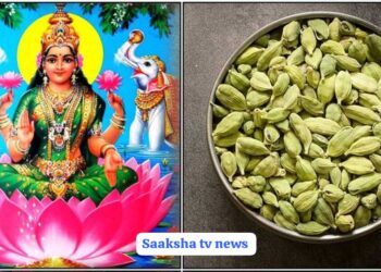 ಈ ಮುಹೂರ್ತದಲ್ಲಿ ಯಾಲಕ್ಕೆ ಹಾಕಿಕೊಂಡು ನೋಡಿ! ಲಾಭದ ಮೇಲೆ ಲಾಭ ಬರುತ್ತೆ