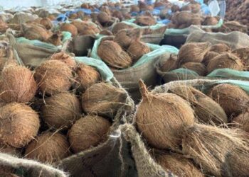 ತೆಂಗಿನಕಾಯಿ ದರ 58ರಿಂದ 60ರೂ – ಬೆಲೆ ಏರಿಕೆಯಿಂದ ಬೆಚ್ಚಿಬಿದ್ದ ಗ್ರಾಹಕರು !!