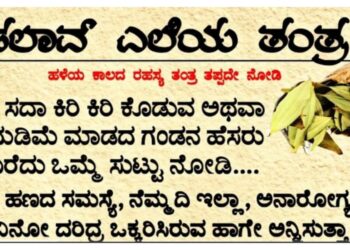 ಕೋಟ್ಯಾಧಿಪತಿ ಮಾಡುವ ಶಕ್ತಿ ‘ವೀಳ್ಯದೆಲೆ ಮತ್ತು ಅಡಿಕೆʼಗಿದೆ