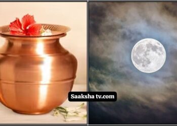 ದೇವಿಗೆ ನೀವು ಈ ರೀತಿ ಪೂಜೆ ಮಾಡಿದರೆ ನಿಮಗೆ ಬೇಡಿದ್ದೆಲ್ಲ ಕೊಡುತ್ತಾಳೆ