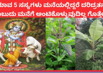 ಅಮೃತ ಸಿದ್ಧಿ ಯೋಗದಲ್ಲಿ ಯಾವ 5 ಸಸ್ಯಗಳು ಮನೆಯಲ್ಲಿದ್ದರೆ ದರಿದ್ರತನ ಎಂಬುದು ಮನೆಗೆ ಅಂಟಿಕೊಳ್ಳುವುದಿಲ್ಲಾ ಗೋತ್ತೇ..?