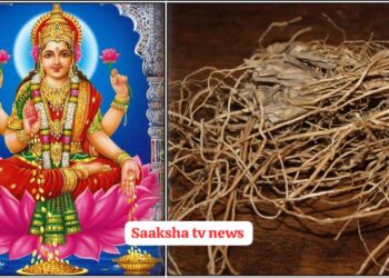 ಸಾಲ ಪಡೆದ ಹಣವನ್ನು ಮರಳಿ ಪಡೆಯಲು, ಈ 1 ವಸ್ತುವನ್ನು ಸ್ವಾಮಿ ಚಿತ್ರದ ಮುಂದೆ ಇರಿಸಿ ಮತ್ತು ಈ ಮಂತ್ರವನ್ನು ಹೇಳಿ. 48 ದಿನಗಳಲ್ಲಿ ಹಣ ನಿಮ್ಮ ಕೈ ಸೇರುತ್ತದೆ.