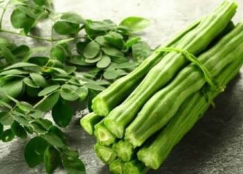 ಚಿನ್ನದ ಬೆಲೆಯಲ್ಲಿ ನುಗ್ಗೆಕಾಯಿ: ರೈತರ ಖುಷಿ, ಗ್ರಾಹಕರ ಚಿಂತೆ !!!