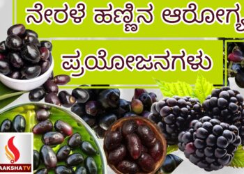 ನೇರಳೆ ಹಣ್ಣಿನ ಆರೋಗ್ಯ ಪ್ರಯೋಜನಗಳು