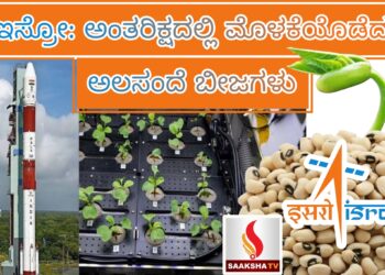 ಮೇಕೆ ಹಾಲಿನ ಪ್ರಮುಖ ಆರೋಗ್ಯ ಪ್ರಯೋಜನಗಳು