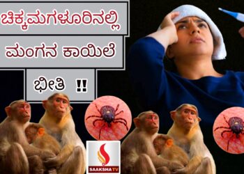 ಚಿಕ್ಕಮಗಳೂರಿನಲ್ಲಿ ಮಂಗನ ಕಾಯಿಲೆ ಭೀತಿ  !!