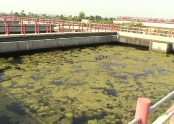 ಶುದ್ಧೀಕರಣ ಘಟಕದಲ್ಲಿ ನಾಯಿ ಶವ ಪತ್ತೆ!!