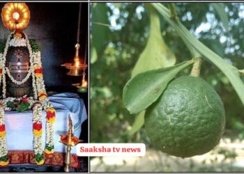 11-1-2025 ಶನಿ ಮಹಾ ಪ್ರದೋಷ. ಈ 3 ವಸ್ತುಗಳನ್ನು ಖರೀದಿಸಿ ಶಿವನ ದೇವಸ್ಥಾನಕ್ಕೆ ಕೊಟ್ಟರೆ ಅಂತ್ಯವಿಲ್ಲದ ಸಂಕಷ್ಟಗಳು ತಕ್ಷಣ ಪರಿಹಾರವಾಗುತ್ತದೆ