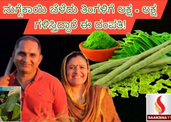 ನುಗ್ಗೆಕಾಯಿ ಬೆಳೆದು ತಿಂಗಳಿಗೆ ಲಕ್ಷ – ಲಕ್ಷ ಗಳಿಸ್ತಿದ್ದಾರೆ ಈ ದಂಪತಿ!