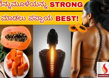 Karnataka Weather Report: ಬೆಂಗಳೂರು ಸೇರಿ ಕರ್ನಾಟಕದ ಹಲವು ಜಿಲ್ಲೆಗಳಲ್ಲಿ ಜೋರು ಮಳೆ, ಯೆಲ್ಲೋ ಅಲರ್ಟ್​!