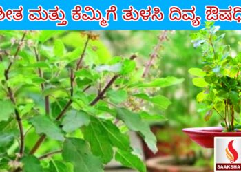 ನ್ಯೂಕ್ಲಿಯರ್ ಪವರ್ ಕಾರ್ಪೊರೇಷನ್ ಆಫ್ ಇಂಡಿಯಾ ಲಿಮಿಟೆಡ್ ನೇಮಕಾತಿ 2025