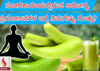ಸೋರೆಕಾಯಿಯಲ್ಲಿರುವ ಆರೋಗ್ಯ ಪ್ರಯೋಜನಗಳ ಬಗ್ಗೆ ನಿಮಗೆಷ್ಟು ಗೊತ್ತು?