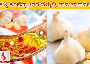 ನ್ಯಾಷನಲ್ ಏರೋಸ್ಪೇಸ್ ಲ್ಯಾಬೊರೇಟರೀಸ್ ನೇಮಕಾತಿ 2025