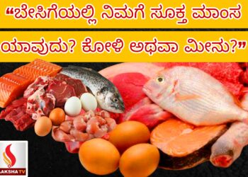 “ಬೇಸಿಗೆಯಲ್ಲಿ ನಿಮಗೆ ಸೂಕ್ತ ಮಾಂಸ ಯಾವುದು? ಕೋಳಿ ಅಥವಾ ಮೀನು?”
